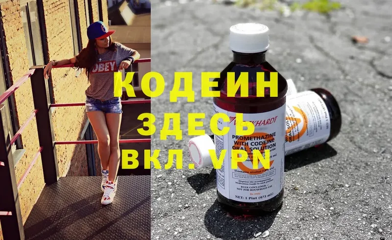 наркошоп  Закаменск  Codein Purple Drank 